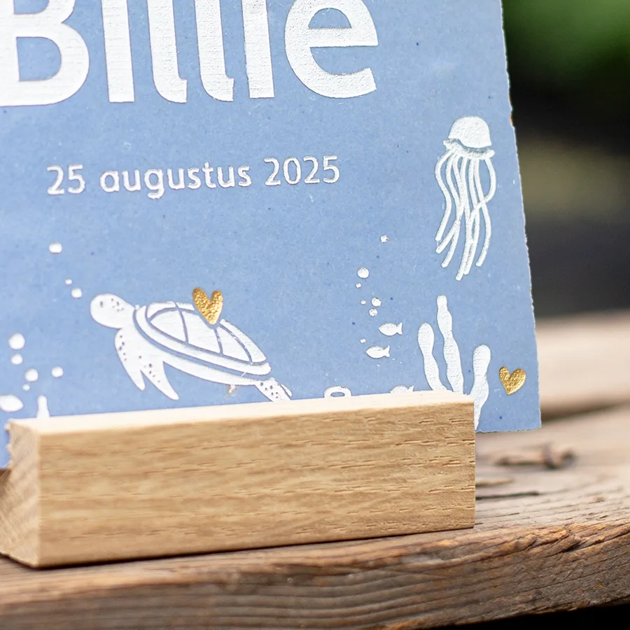 Geboortetegel onderwater - Afbeelding 8