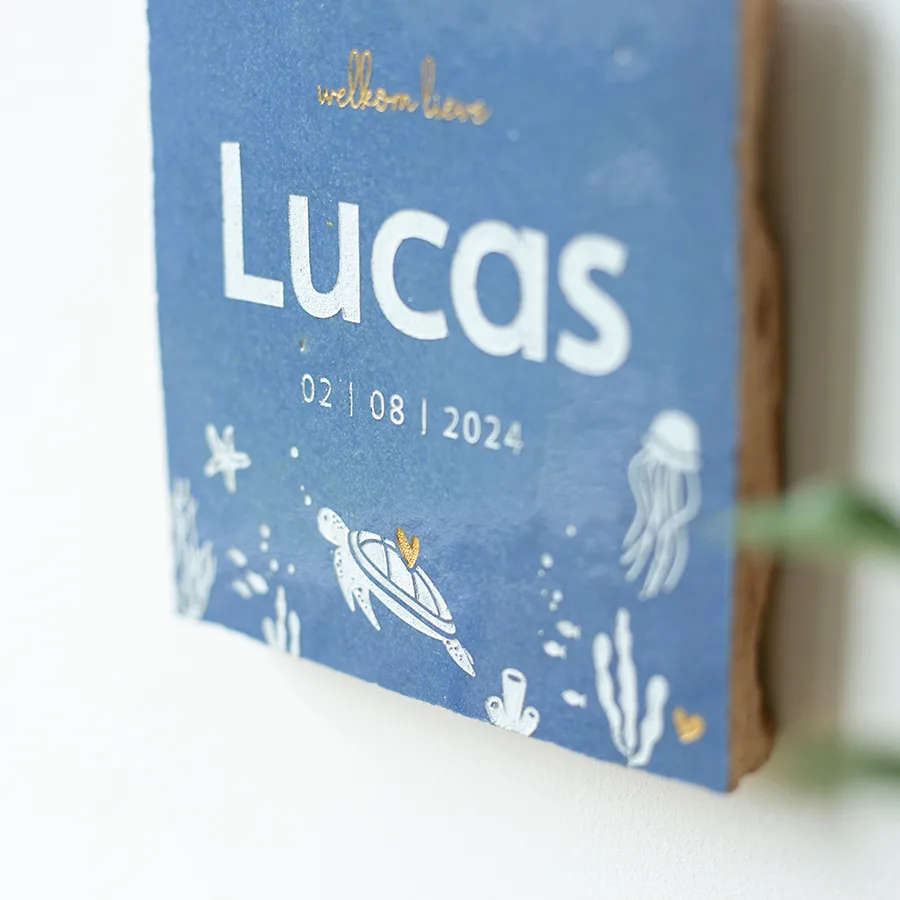 Geboortetegel onderwater - Afbeelding 6