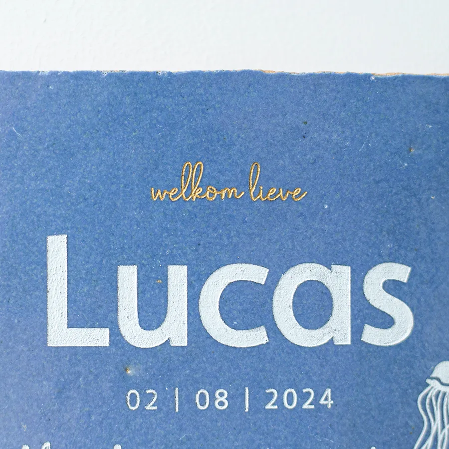 Geboortetegel onderwater - Afbeelding 9