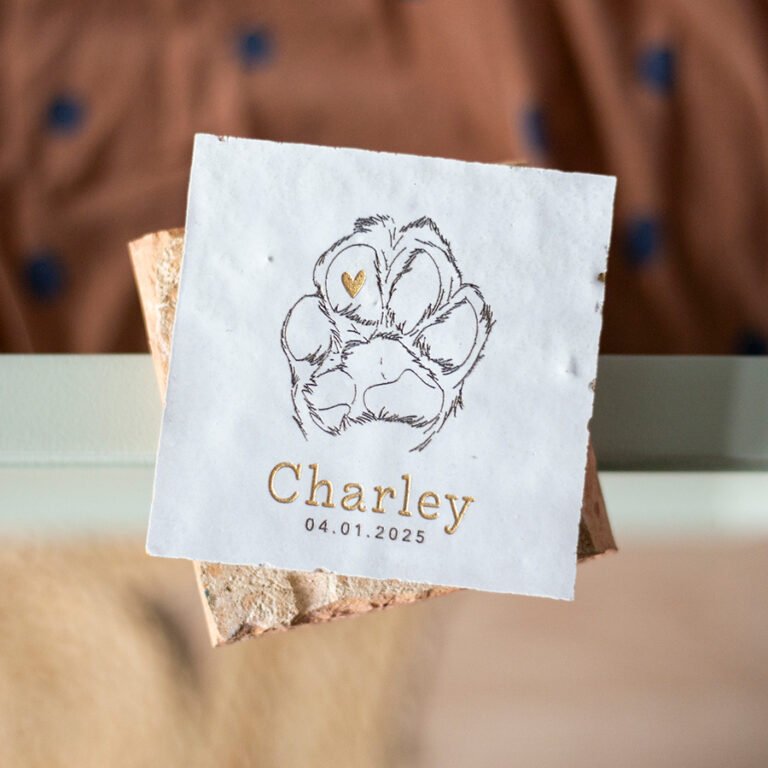 Herinneringstegel hond